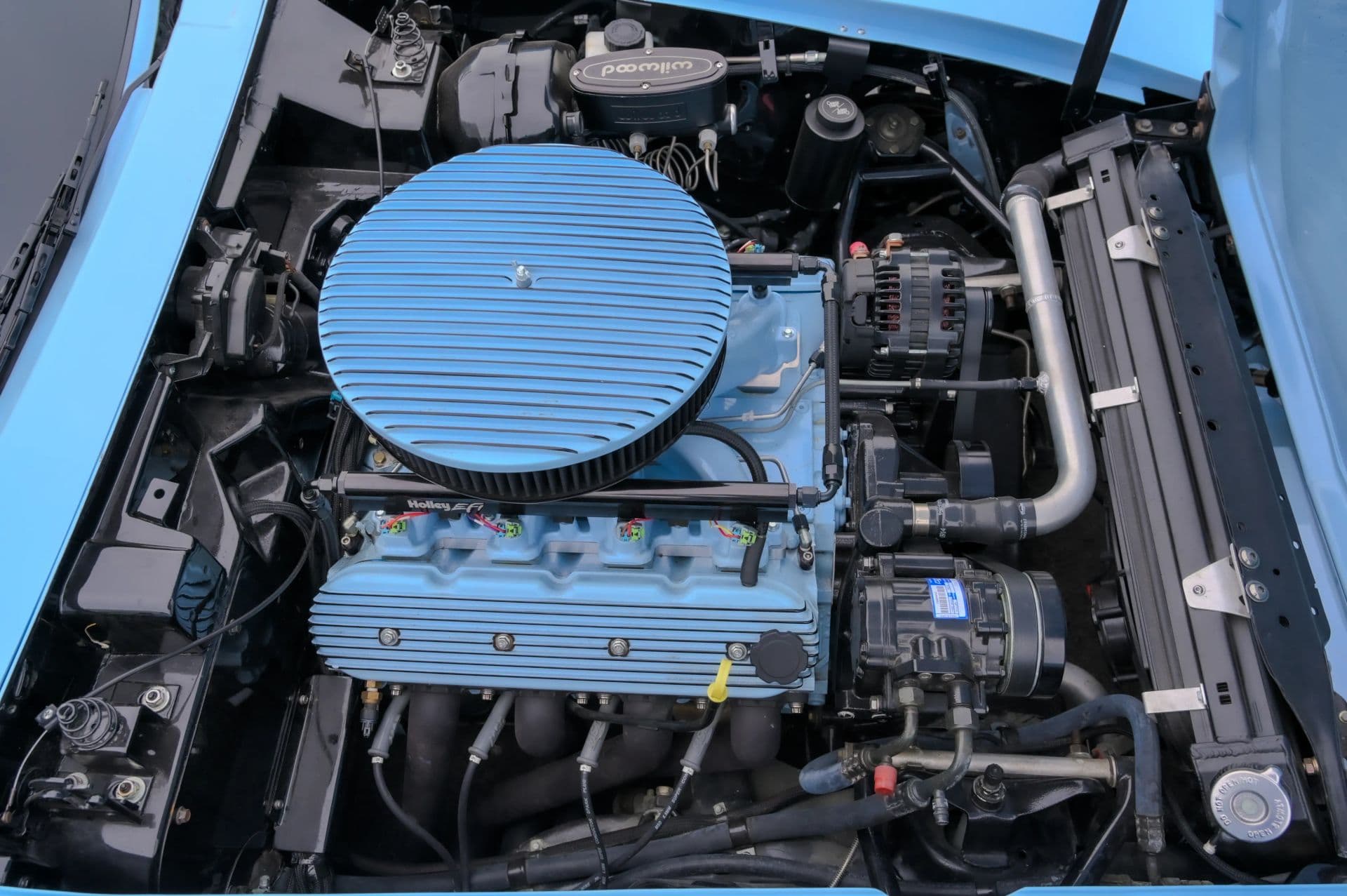 1981 Chevrolet Corvette 2D Coupe - thumbnail 40